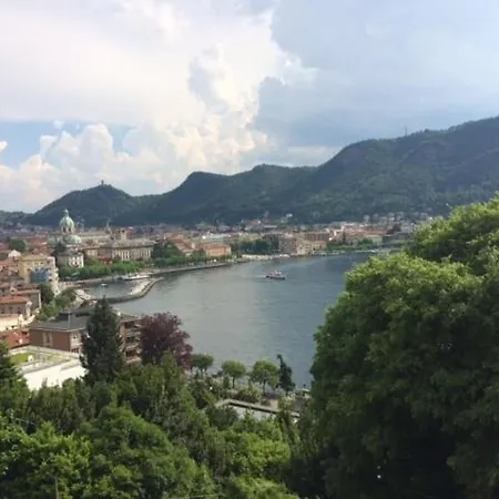 The Cedar * Como